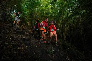 BIB: 
                            <button type="button" onclick="openModal(25100503)" class="btn btn-primary btn-sm float-right btn-popup" data-toggle="modal" data-target=".modal-high-quality">
                        <i class="fas fa-shopping-cart"></i> Add to Cart
                    </button>
                                            <button type="button" onclick="isThisMe(25100503, true)" class="btn btn-success btn-sm float-right btn-popup btn-isme hidden" data-toggle="tooltip" data-placement="bottom" title="นี่คือรูปของคุณใช่ไหม คลิกที่นี่เพื่อเอาเข้าอัลบั้ม">
                        <i class="fas fa-plus"></i> Add to album
                    </button>
                    <button type="button" onclick="isThisMe(25100503, false)" class="btn btn-warning btn-sm float-right btn-popup btn-isnotme hidden">
                        <i class="fas fa-ban"></i> Remove from album
                    </button>